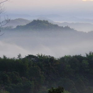 crocker-range-biosphere-reserve-003