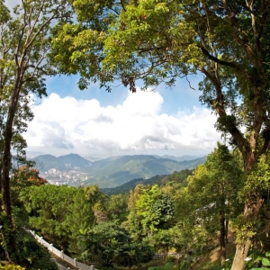 penang-hill-biosphere-reserve-016