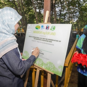 mangrove-ing-our-land-programme-06