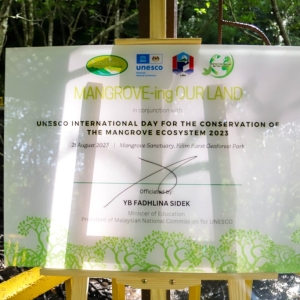 mangrove-ing-our-land-programme-07